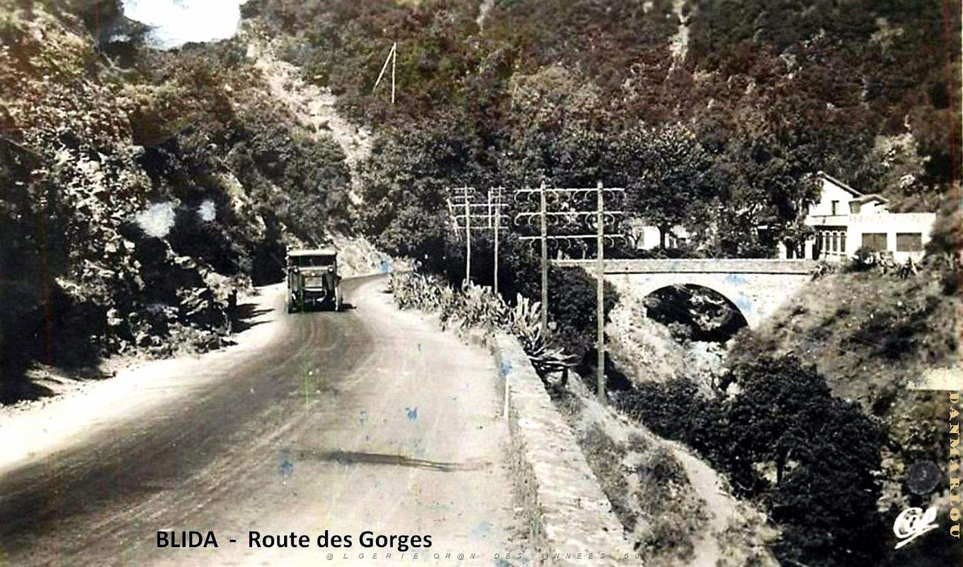 Blida - Route des Gorges - 1952.jpg